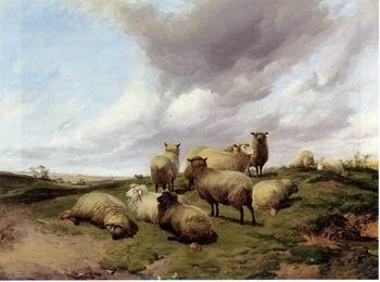 unknow artist Sheep 146